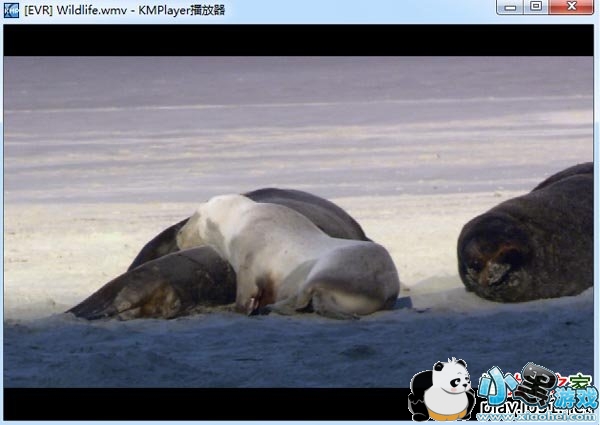 Kmplayer������