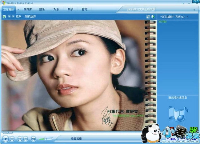 windows player����