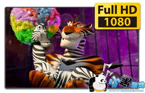 ������ppsӰ����װ