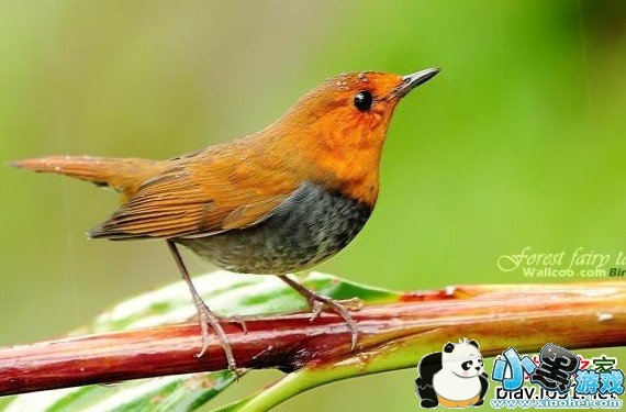 ĸ��ü�����mp3