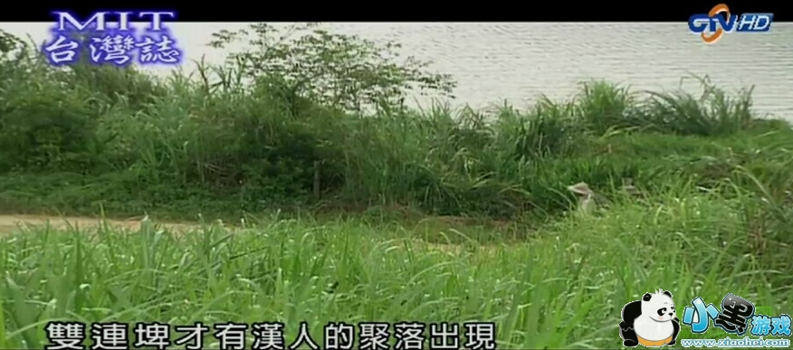 2017免费港澳台直播apk