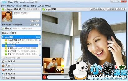 Skype(������������)