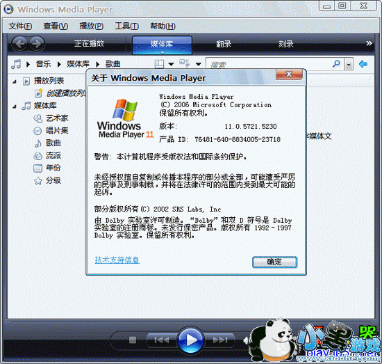 windows player 11