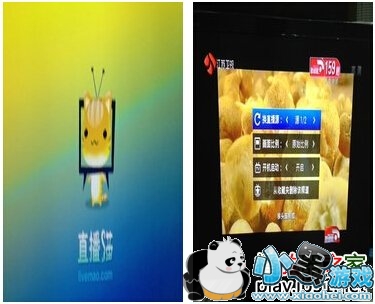 ֱ��è�ֻ���