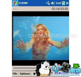 手机视频 tcpmp播放器绿色版