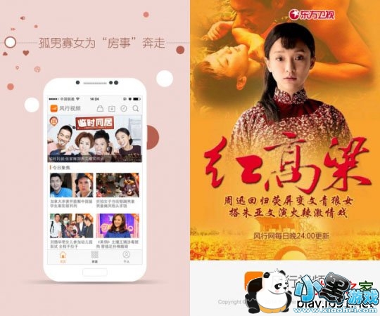 ������Ƶ�ֻ���