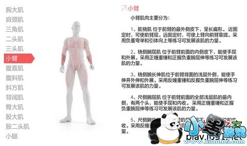 Ī�Ƚ������ܵ��Ӱ�