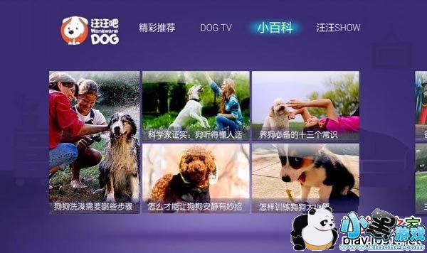 ������TV��APK