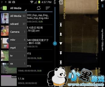 Dice Player������������