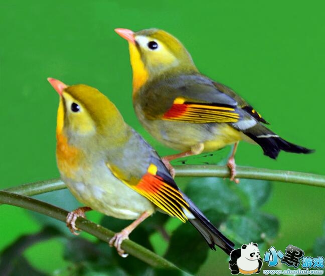 ��˼��ĸ�����