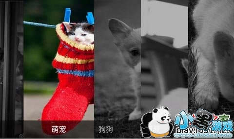 �ȳ���԰���ܵ��Ӱ�