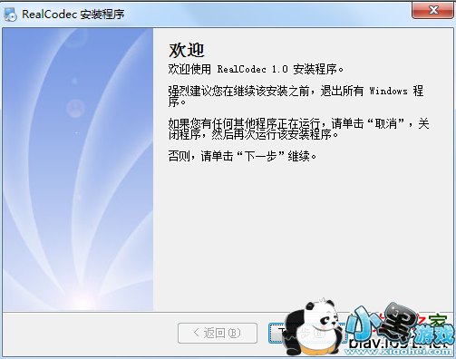 RealCodec���������