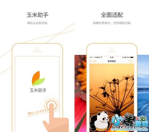 ��������ƻ����