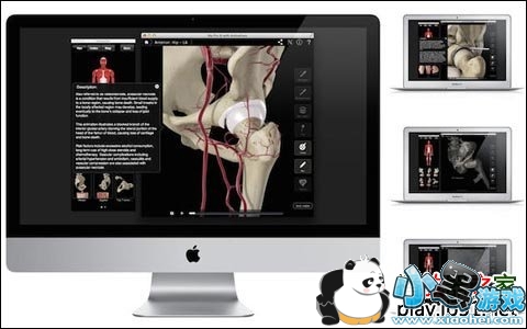 �����β��ṹ3D��������ʾ