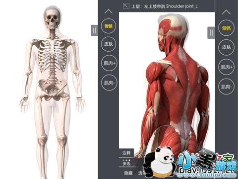 3DBody������ʰ�׿��