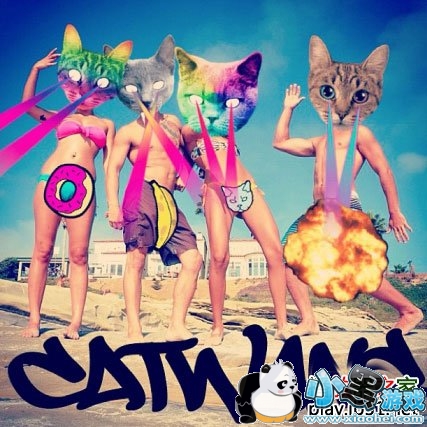 catwang��׿��