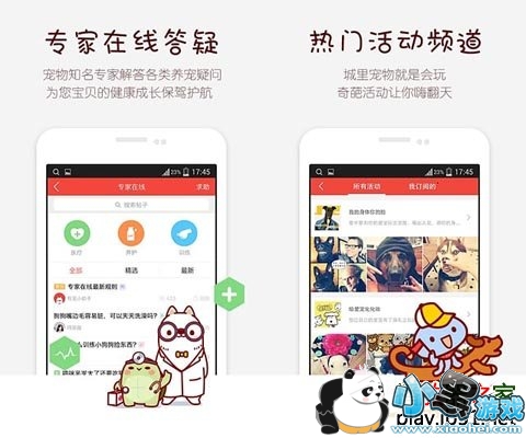 有宠安卓版
