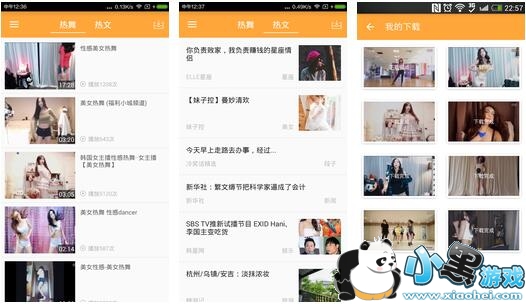 ������Ƶ�ֻ���