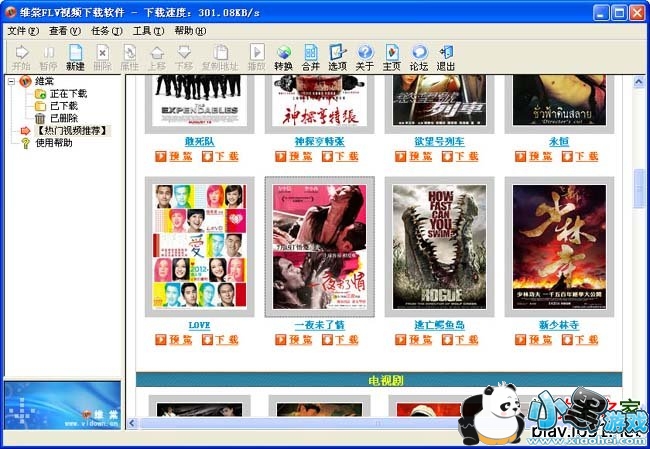 维棠FLV视频下载工具