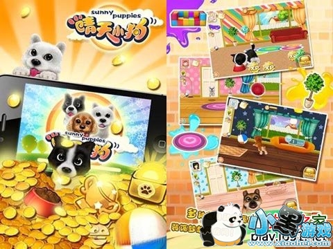 ����С����׿��