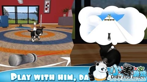 è��С����