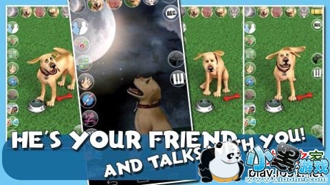 ��˵����Լ������׿��