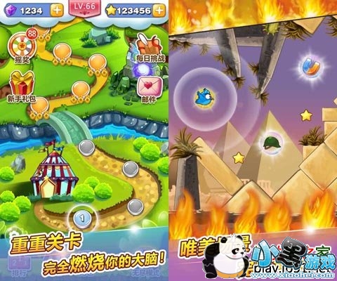 ����С��׿��