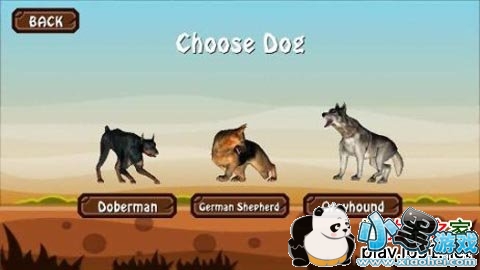 ���������簲׿��