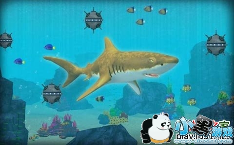 �㹥��ģ����3D