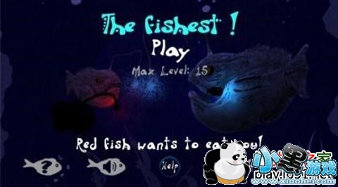 �������氲׿��