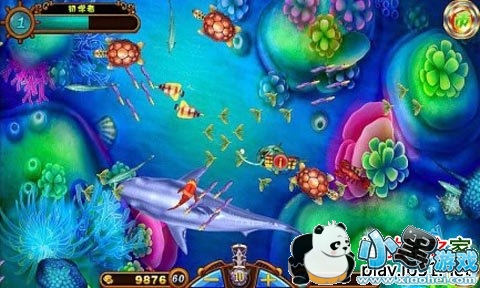 ��������հ�׿��