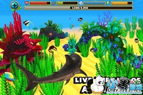 ����ģ������׿��