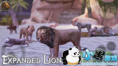 ʨ��ģ����2020�������İ�