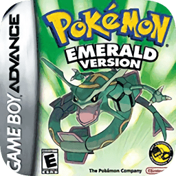 �ڴ����־���