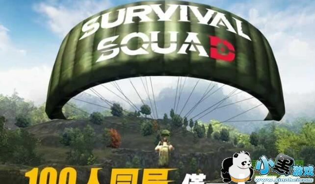 �������ɱ���ʷ�����