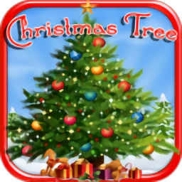 ʥ����������