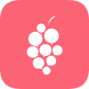 �������°�app