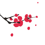 ÷������ƽ̨