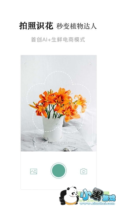 ����life�ֻ���