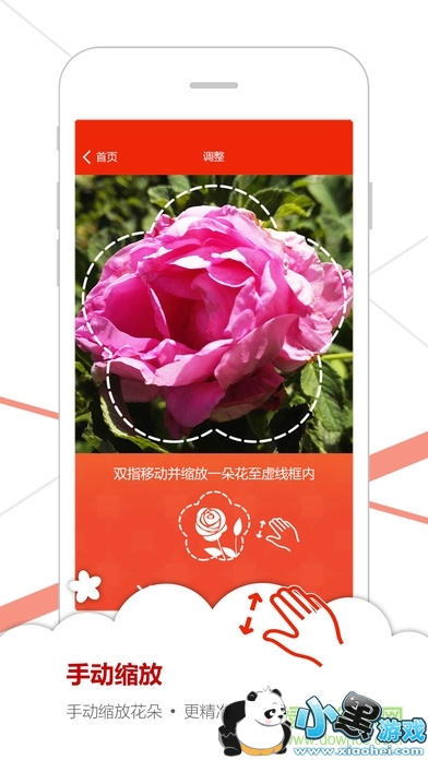 微软识花下载 微软识花2018