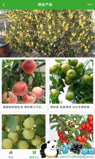 ������ֳ