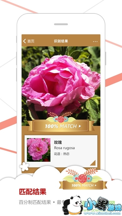 微软识花app下载 微软识别花 下载