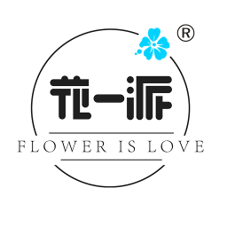 ��һ�� v1.0 ��׿��