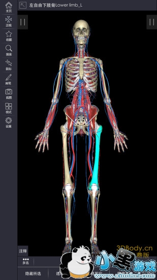 3dbody�������ѧapp����