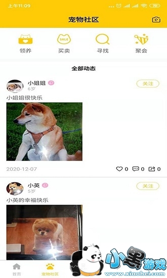 ��������app����