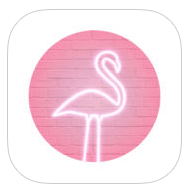 PinkMoon�˾���� v1.0.1 ��׿��