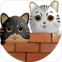 ˫è��Ů�ʹ�app