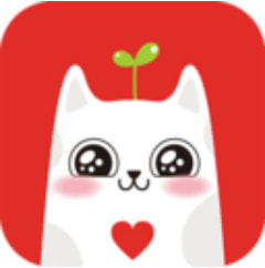 ������app