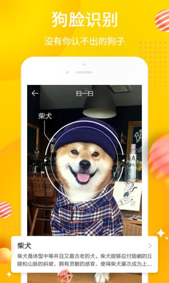 Ȯ���ֻ���