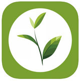 �̴����ͻ���